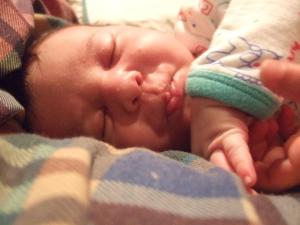 251814_10151795813205514_1168844160_n